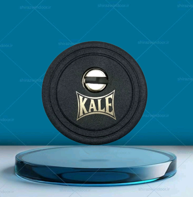 رزت درب ضدسرقت کالی