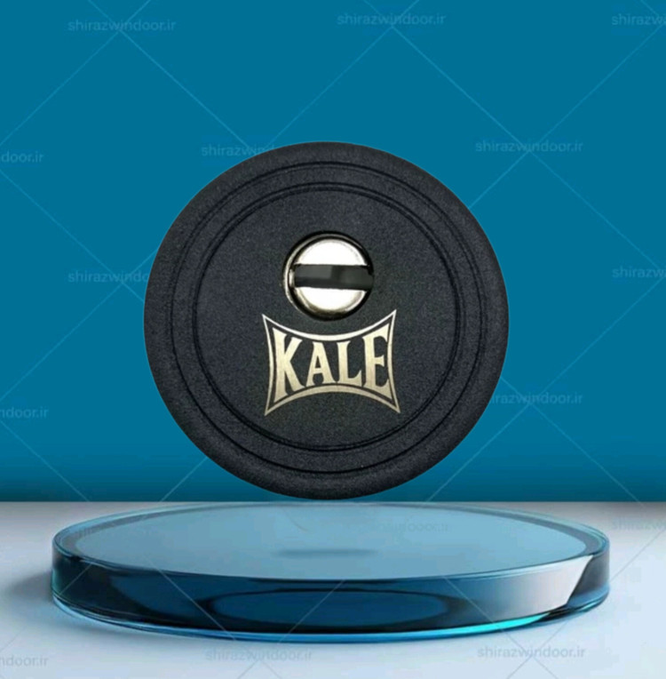 رزت درب ضدسرقت کالی