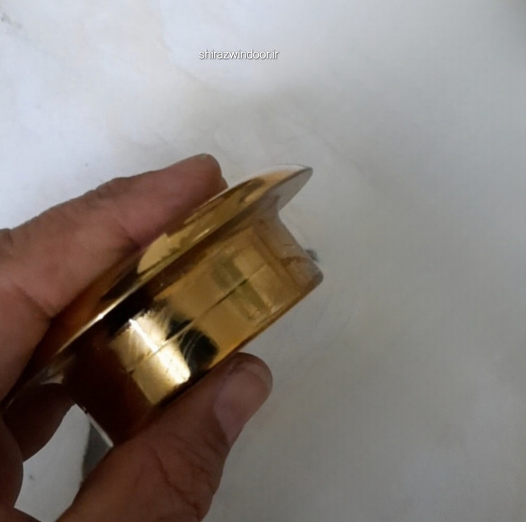 رزت ضد دیلم طلایی.زیتونی